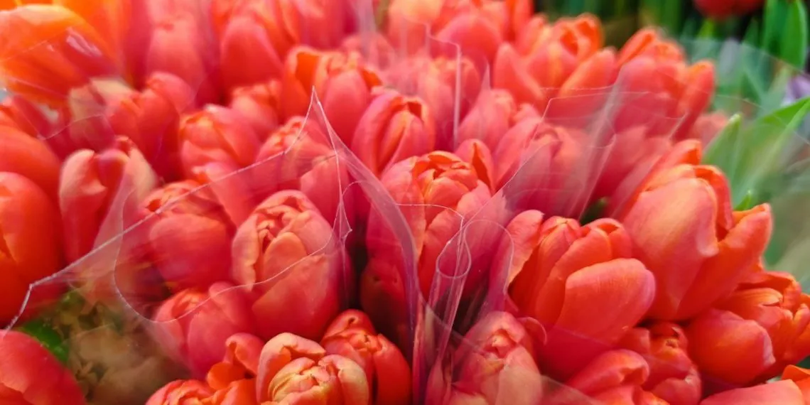 Где разместить делегацию: номера с рабочими зонами и доступом в бизнес-лаунж